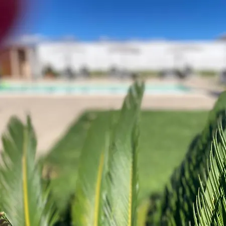 לינה וארוחת בוקר Albachiara